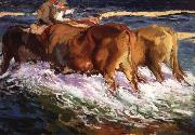 Oxen Study for the Afternoon Sun